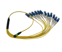 MPO Patch cord